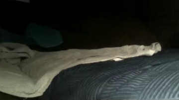 Pitterporz  01-09-2021 Recorded Video Naked